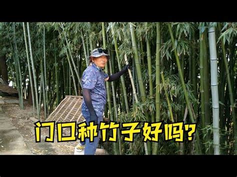 家裡可以種竹子嗎